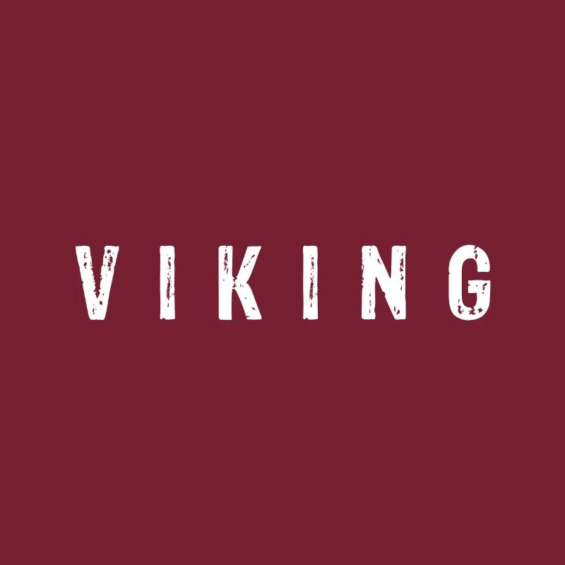 Wikinger Seekrieger Krieger