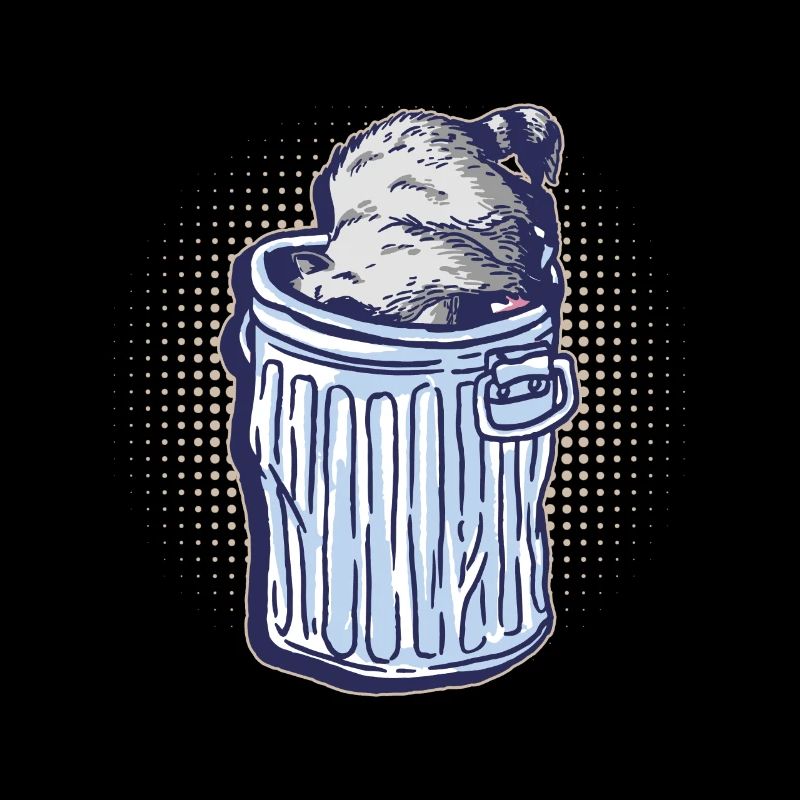 Waschbär gräbt durch einen Mülleimer - Waschbär