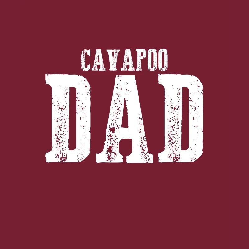 Cavapoo Dad