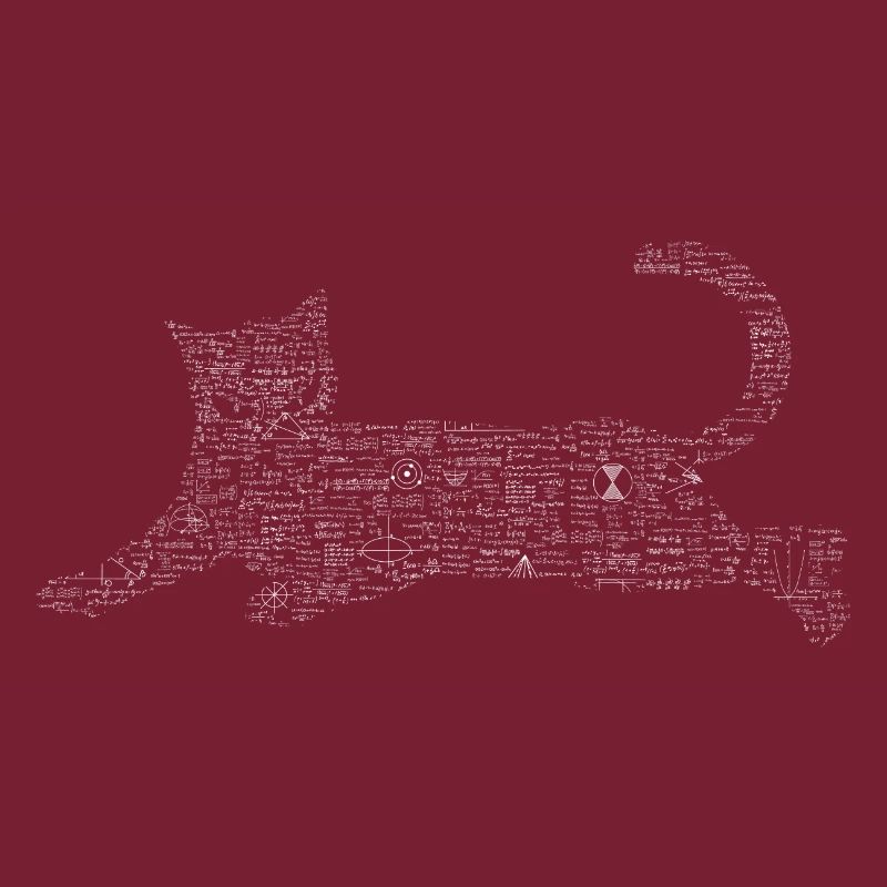 Chat de formule Schrödinger