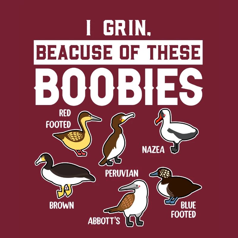 Funny Booby Seabirds Collection