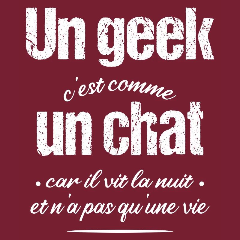 geek et chat