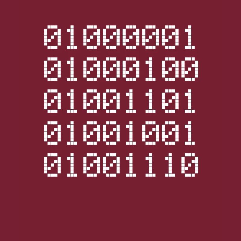 Admin Binär Binärcode Coder Informatiker Binary 01