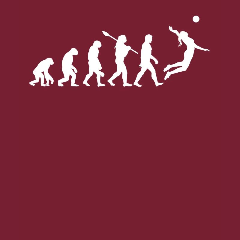 Evolution Volleyball
