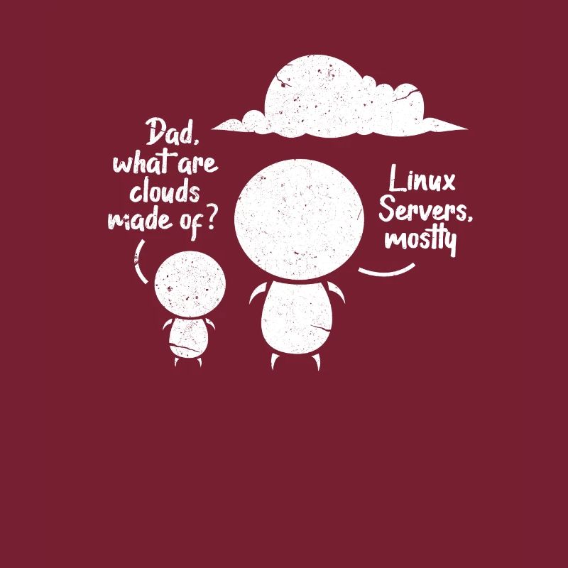 Software Developer Programmer Software Linux