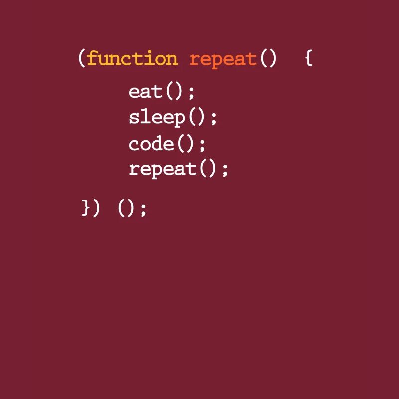 programmer