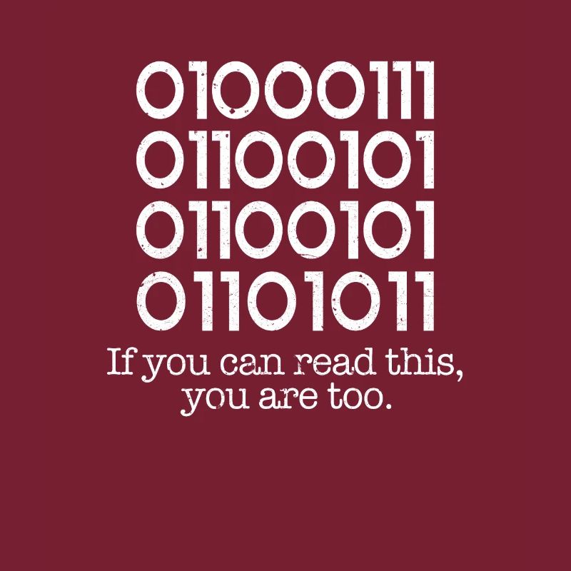 programmer