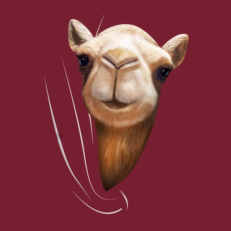 Camel dromedary camels camel lover gift