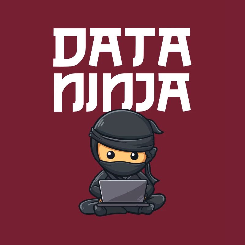 Data ninja data scientist