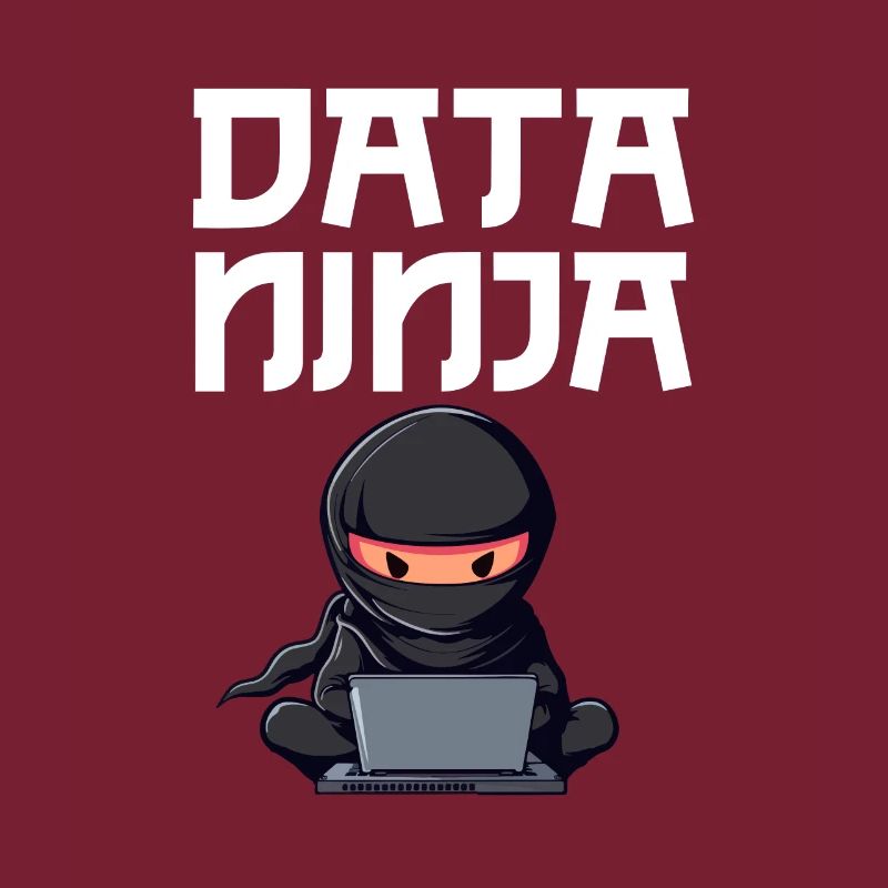 Data ninja data Scientist