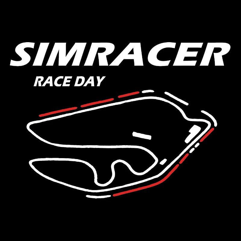 Simracer Simracing Virtual Racing Race Day