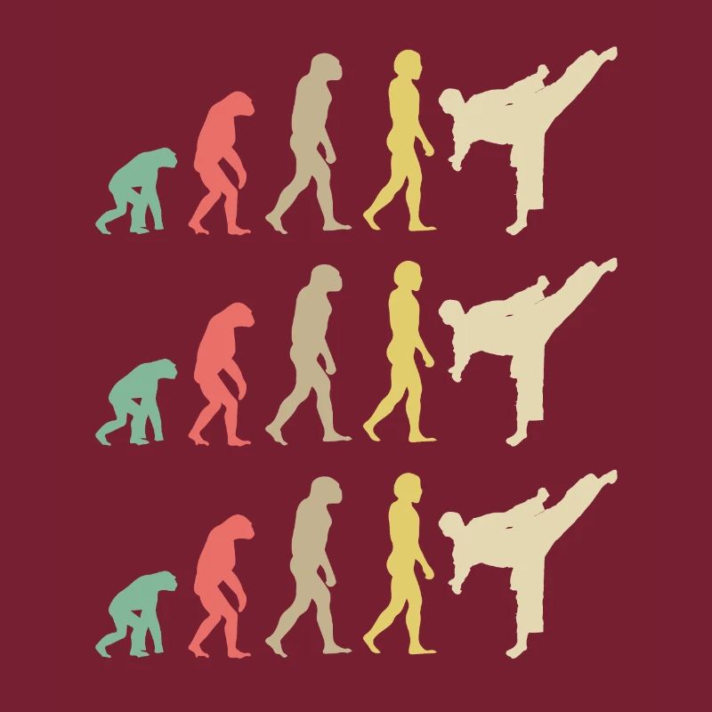 Karate Evolution - Taekwondo