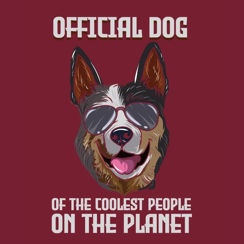 Australian Cattle Dog