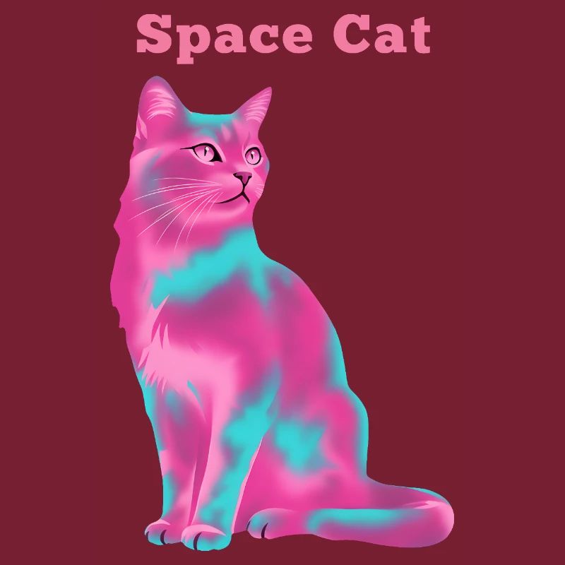 Chat de l’espace