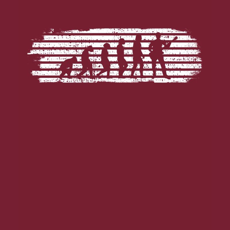 EVOLUTION DE GUITARE