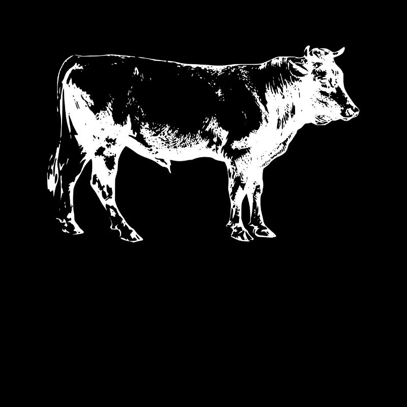 Vache