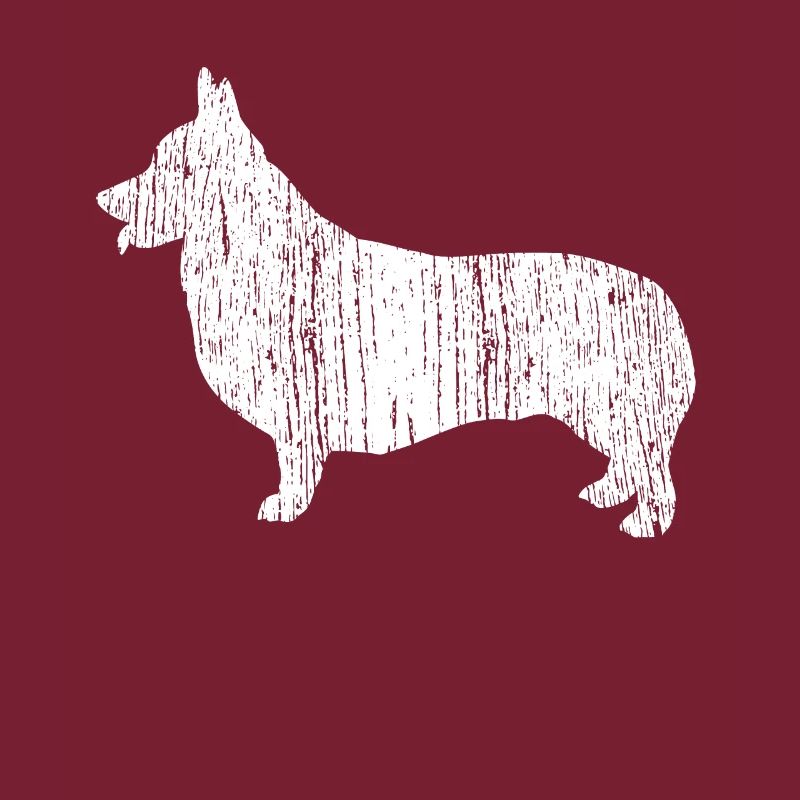Corgi