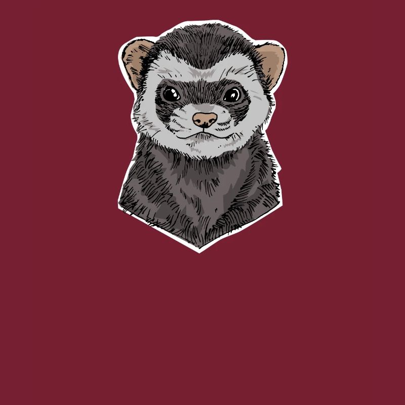 ferrets