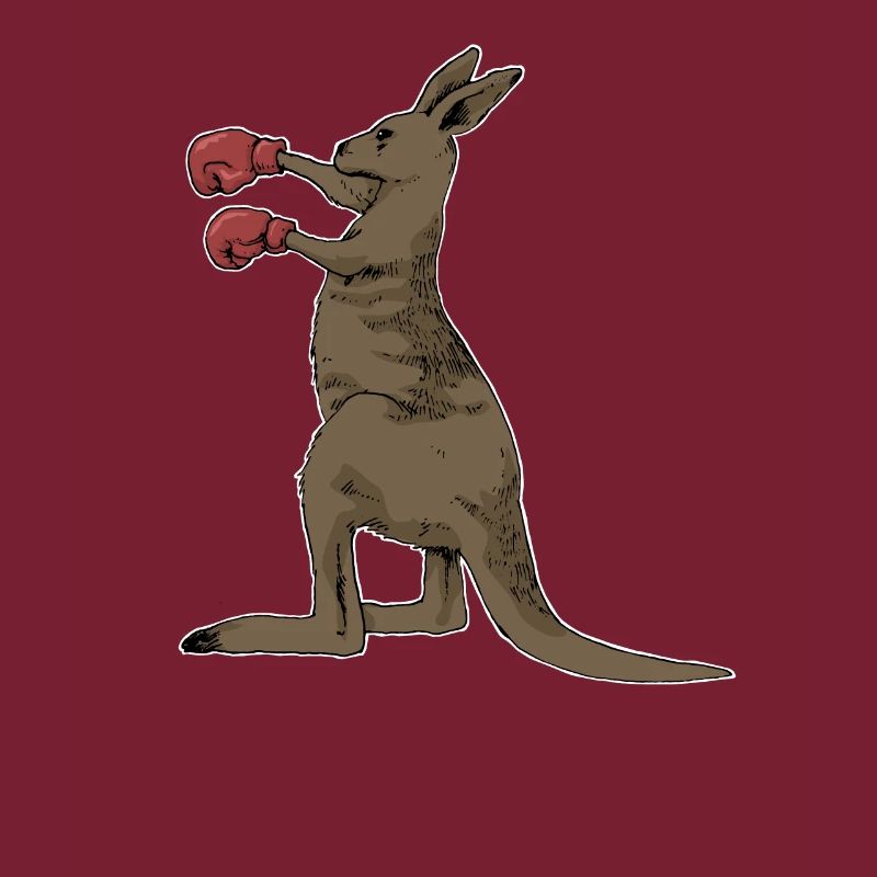 Kangaroo boxing