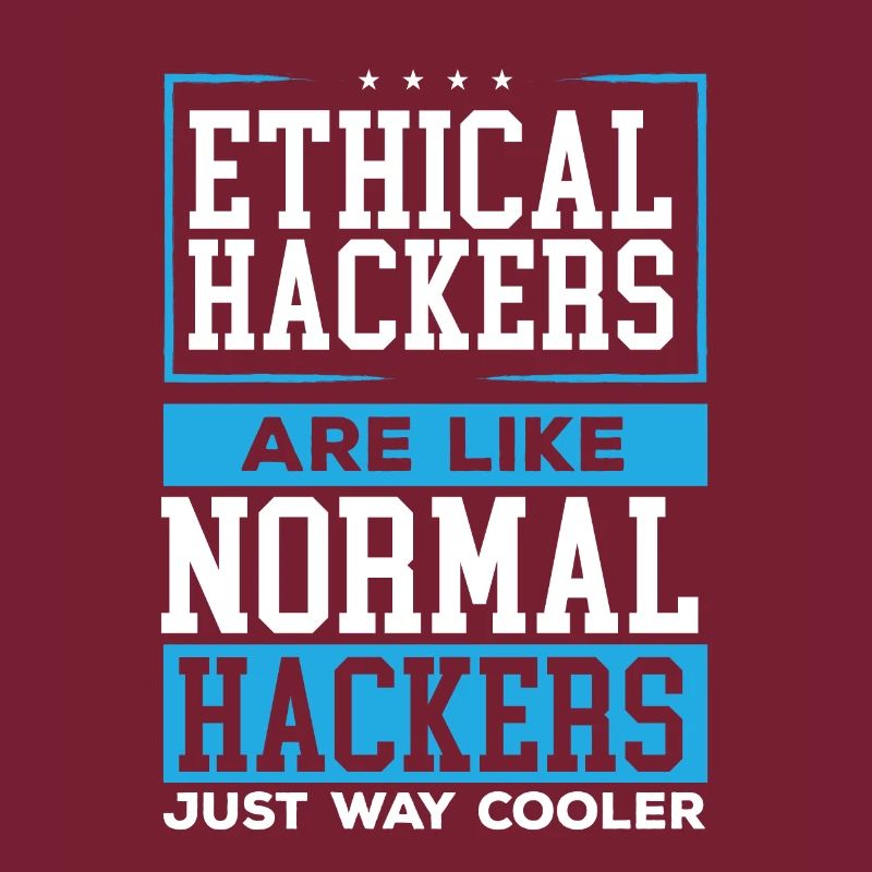 Ethical Hacking Programmer Online Cybersecurity