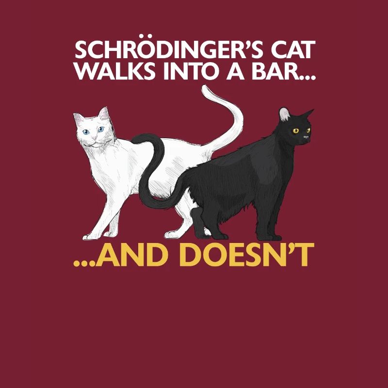 Le chat de Schrödinger drôle de science physique
