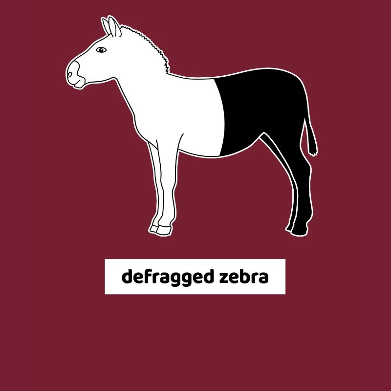 Informatiker Computer Rechner Humor Zebra Defrag