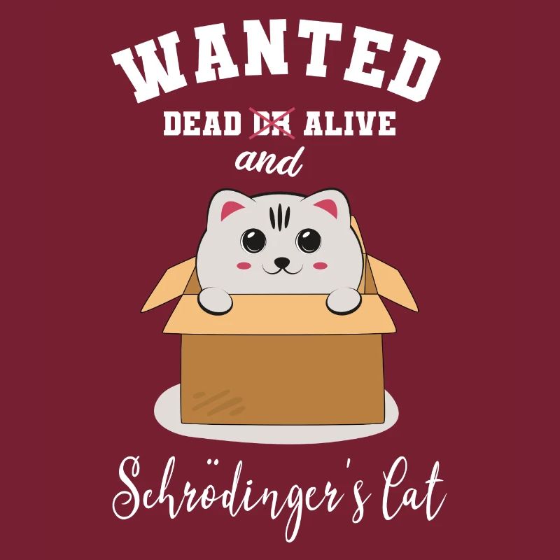 Chat de schrödinger physique chat chaton mignon