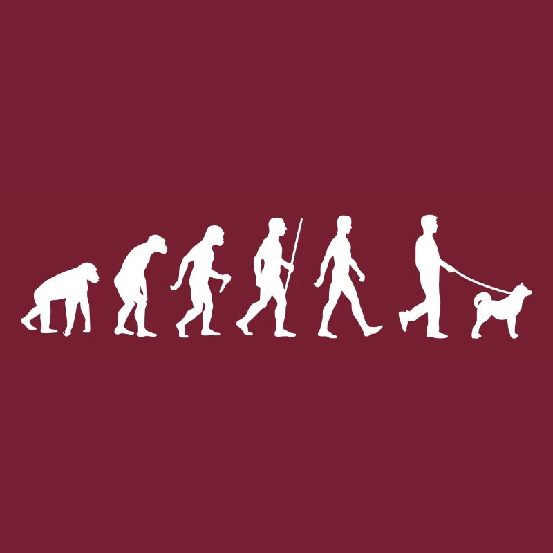Shiba Inu Evolution Dog