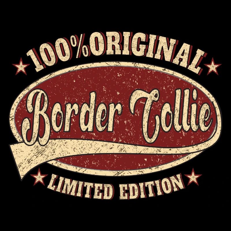 Border Collie 100% Original