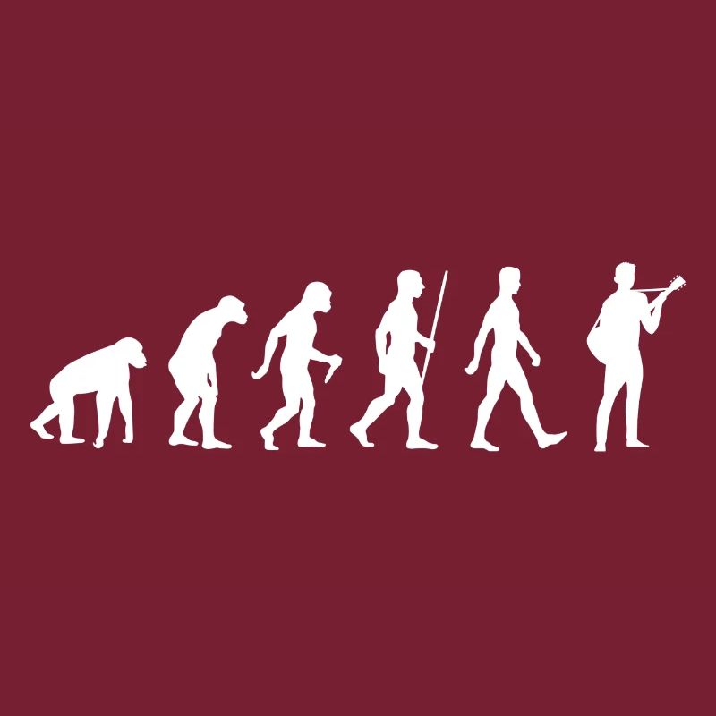 Guitariste évolution guitariste guitare