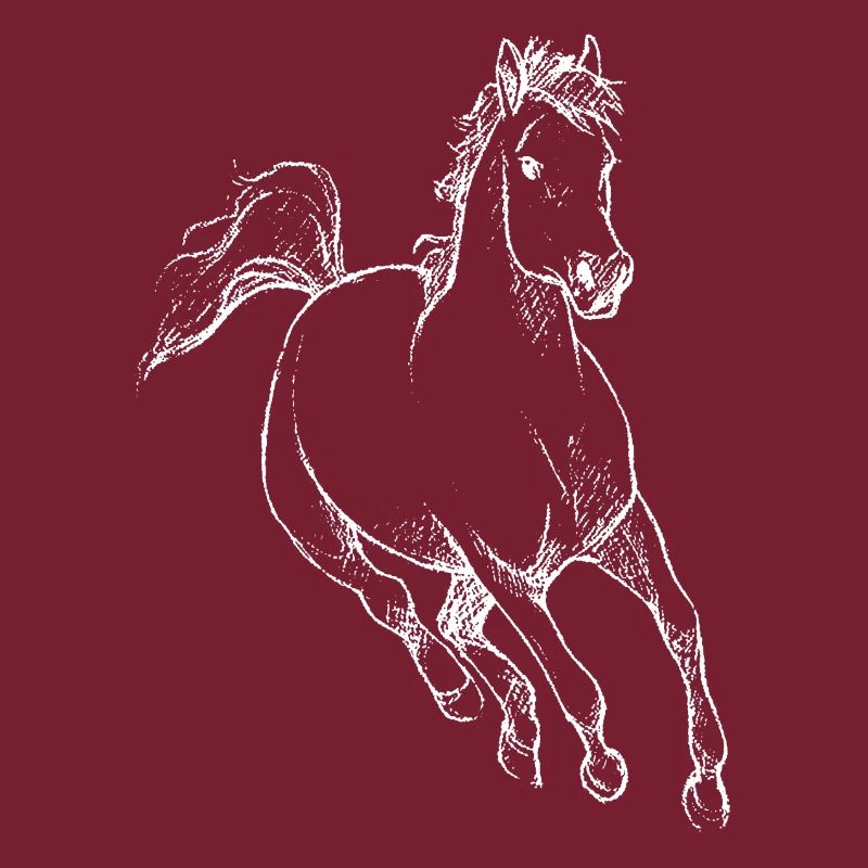 Pferd Pferdchen Reiten Hobby Geschenkidee