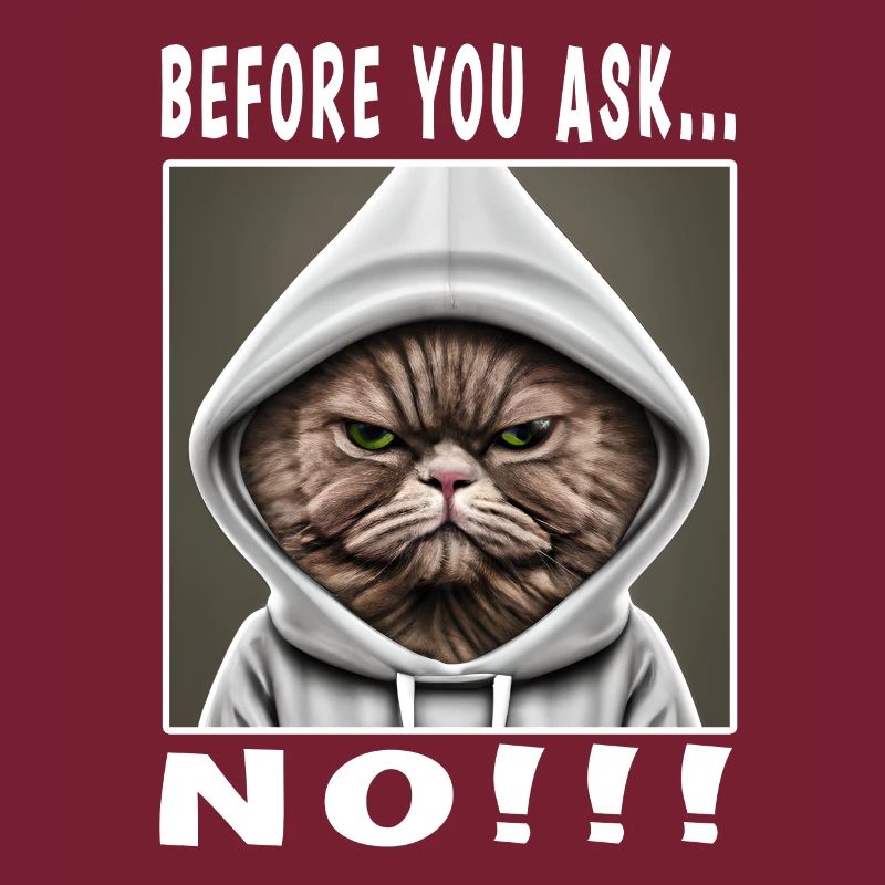 Before you ask no