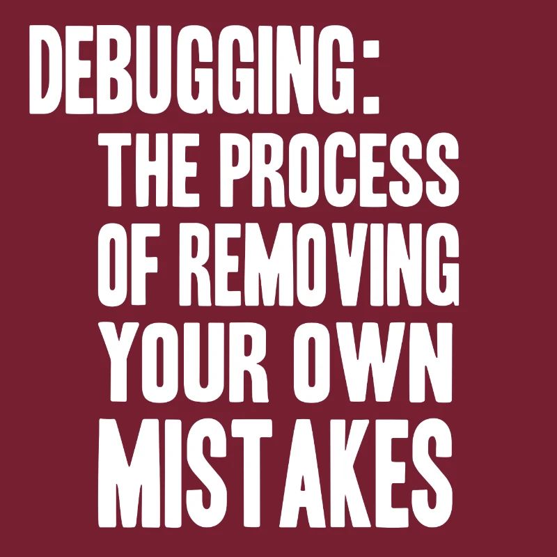 debugging process