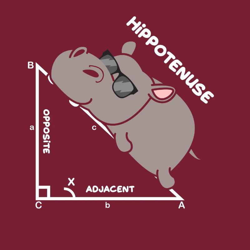 Hypotenuse Hippo Hippopotamus Math Geometry