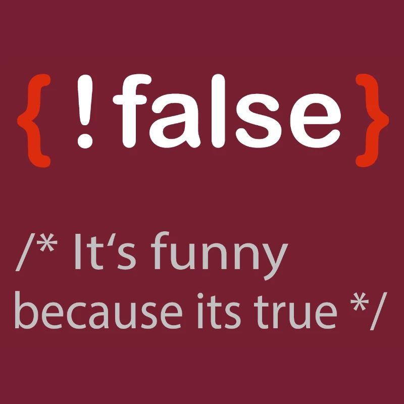 Programmierer false true Informatiker Student