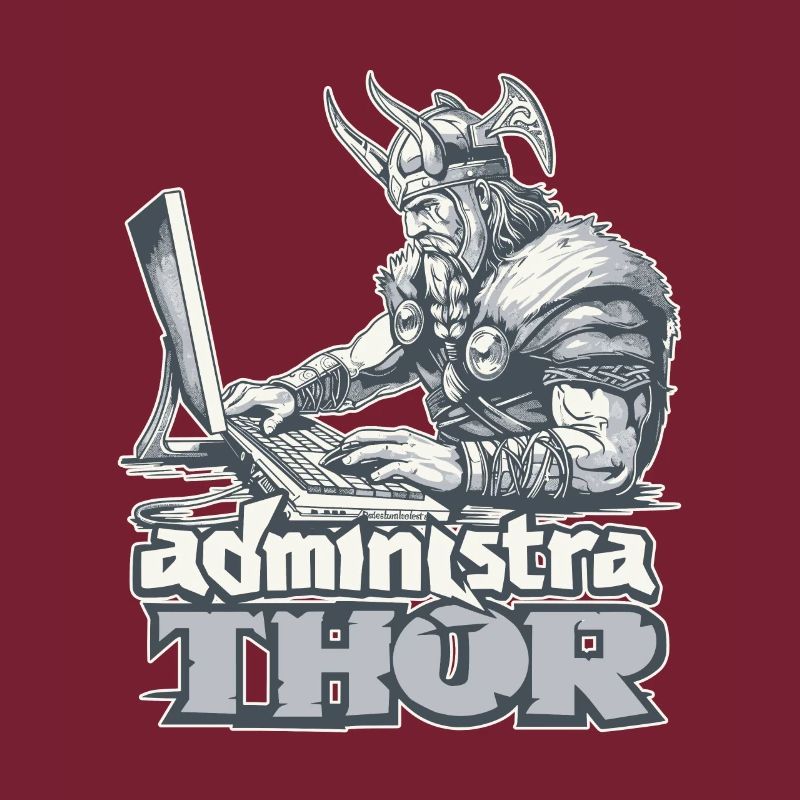 Viking Databaseadministra-thor Nerdy