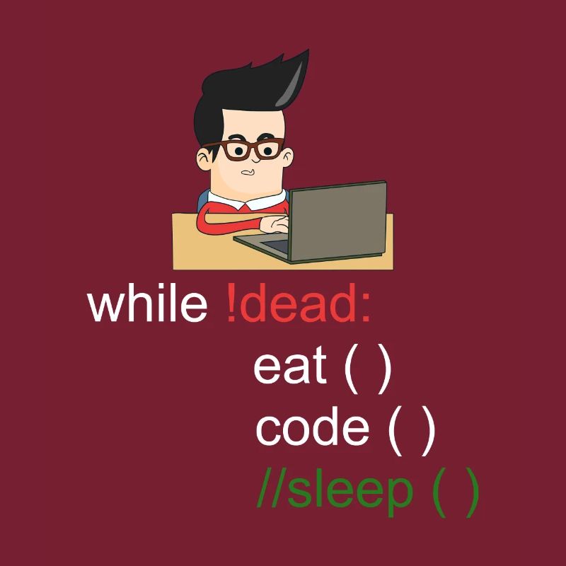 Programmeurs Codage Informaticiens Ordinateurs