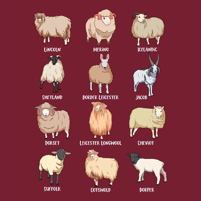 Assorted Kawaii Sheep