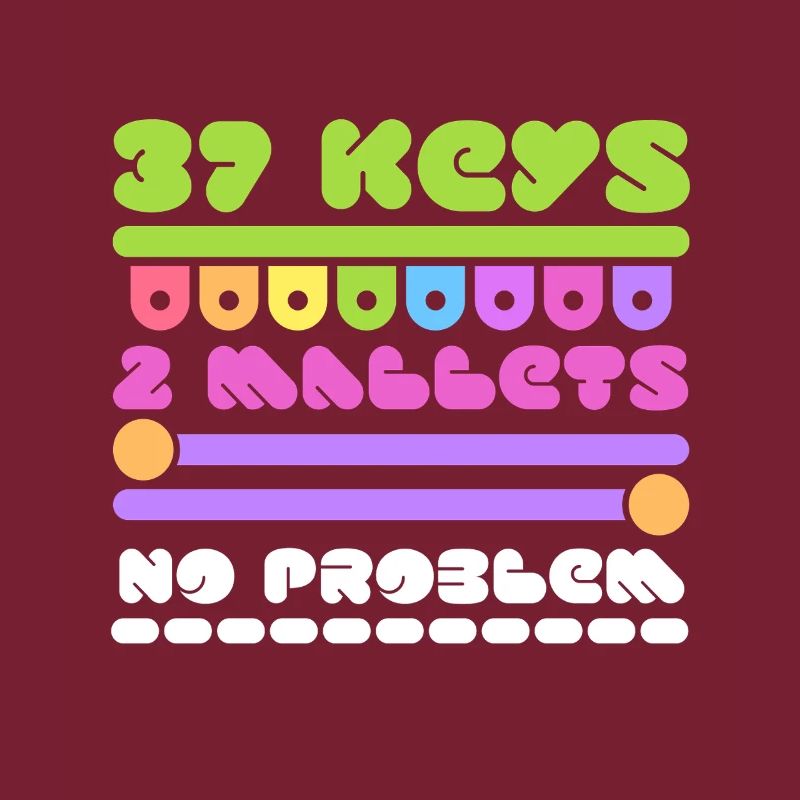 Vibraphone marimba 37 touches 2 maillets pas de problème