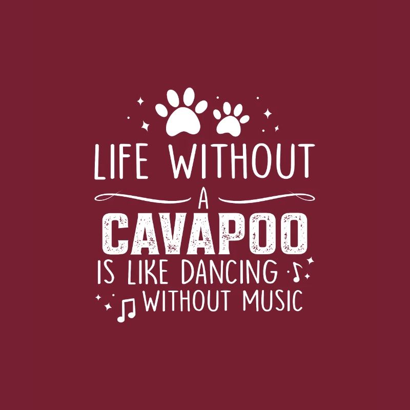 Life without Cavapoo
