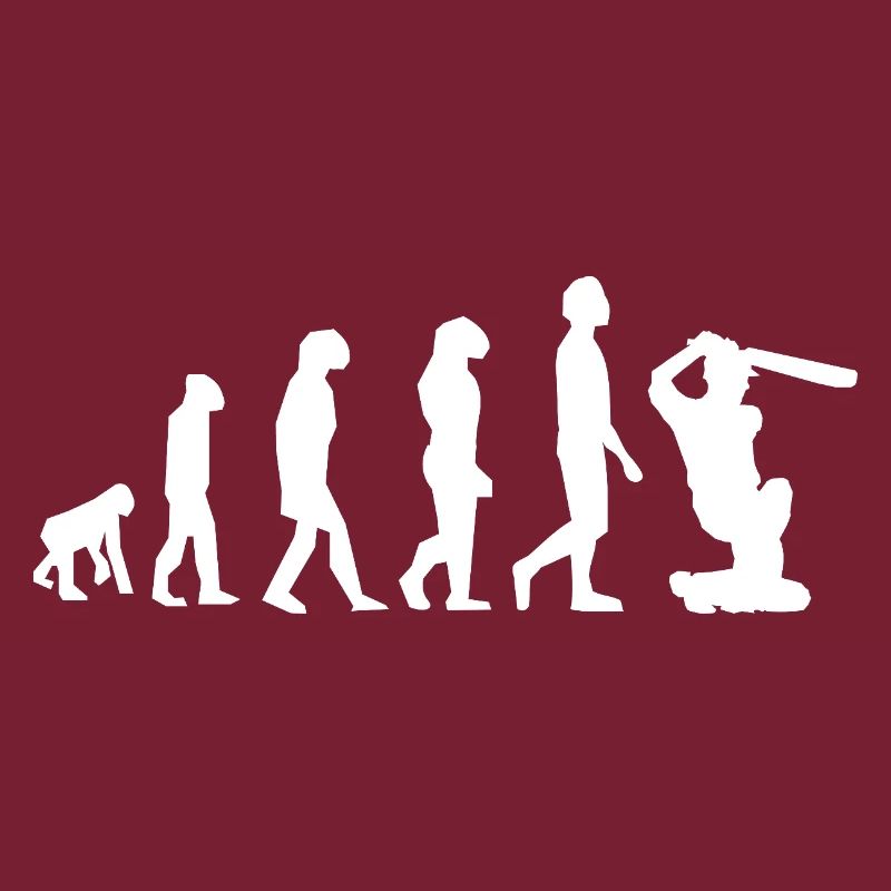 Evolution Cricket