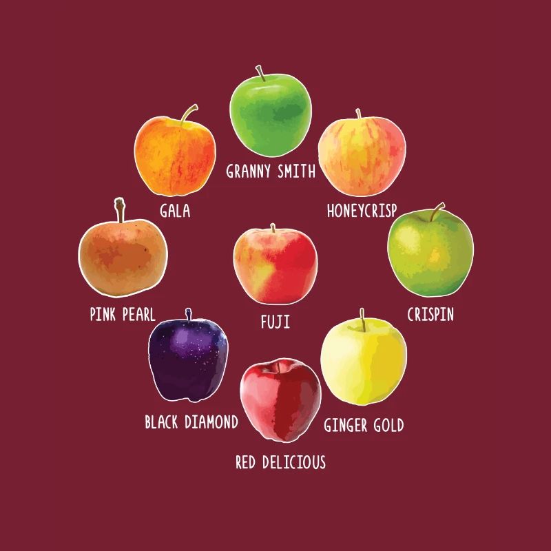 Apple Varieties Different Apples Realistic Apple