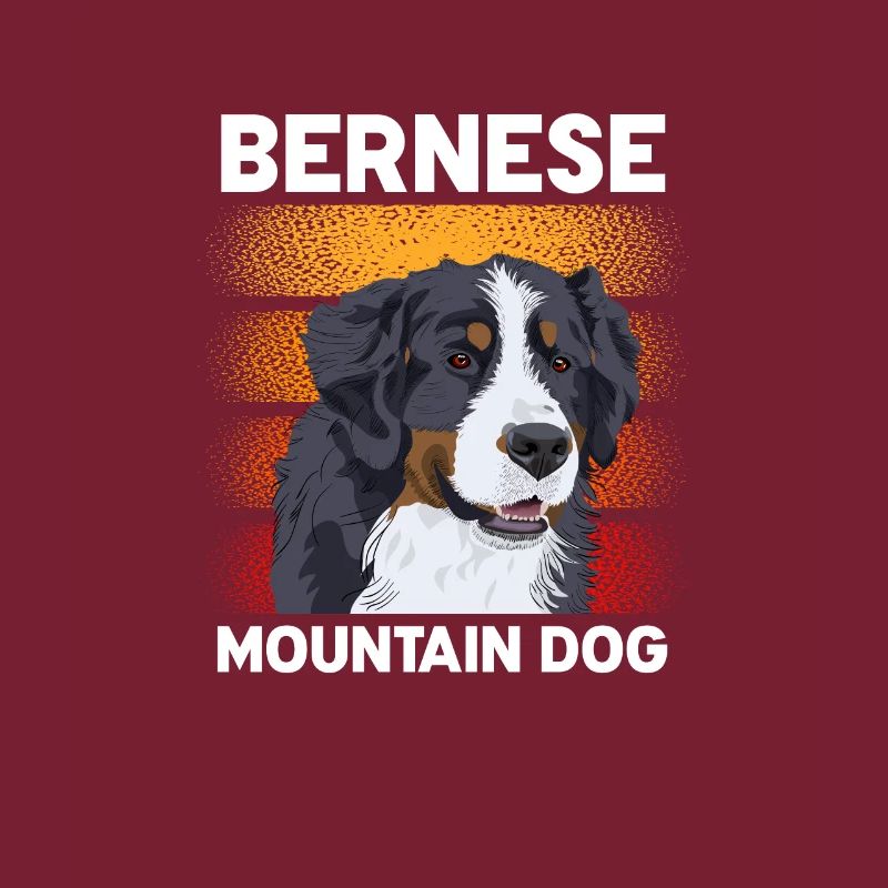 Bernese Mountain Dog