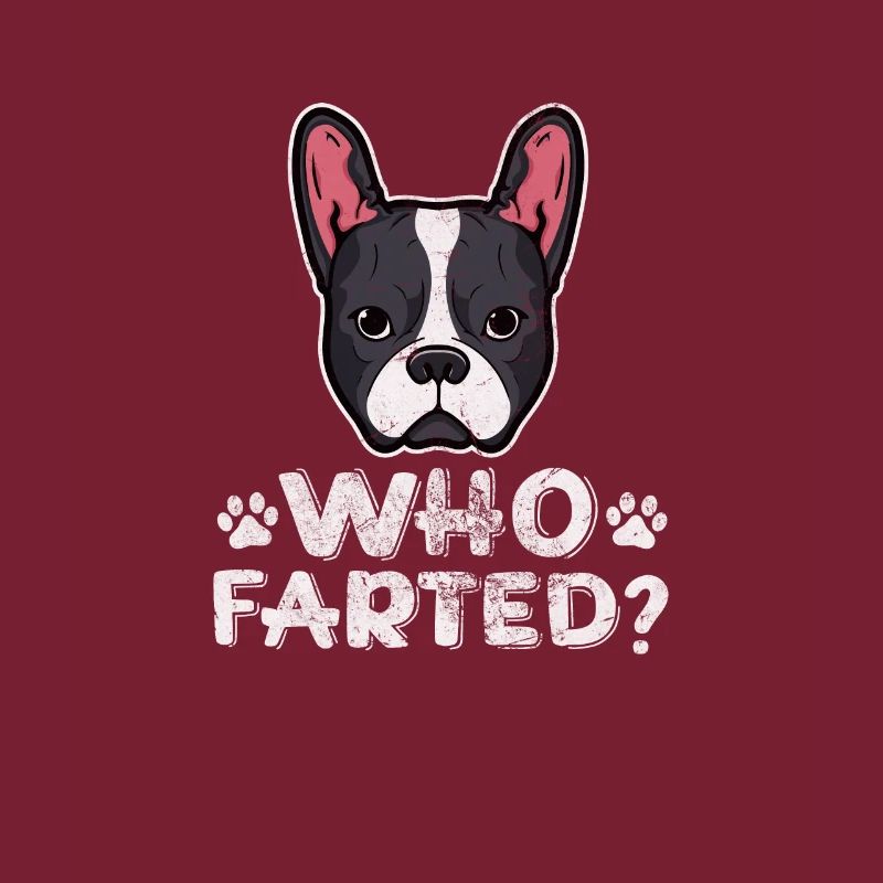 Boston Terrier