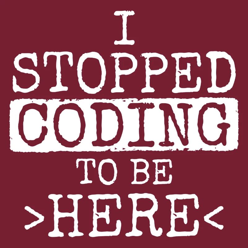 Software Ingenieur Informatiker Programmierer