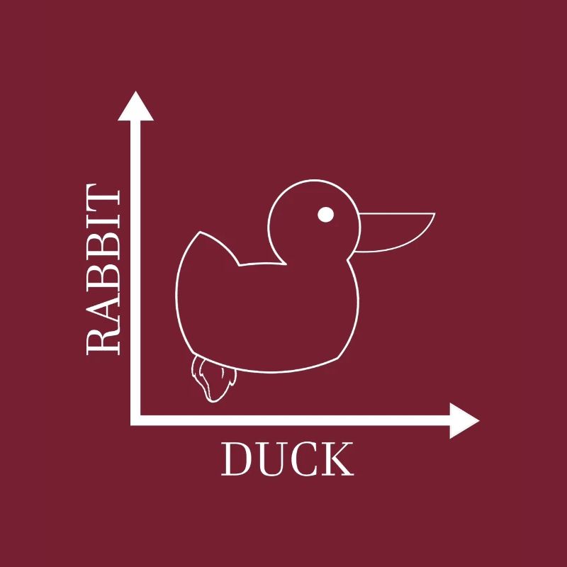 Rabbit Duck - Gone Wrong