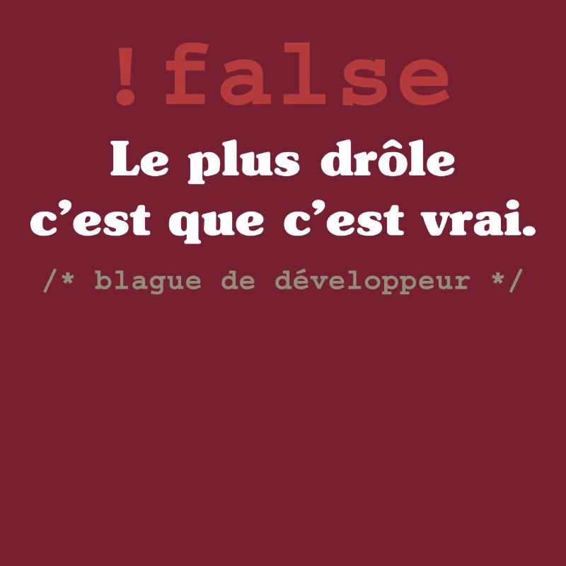 Blague programmeur développeur codeur informatique