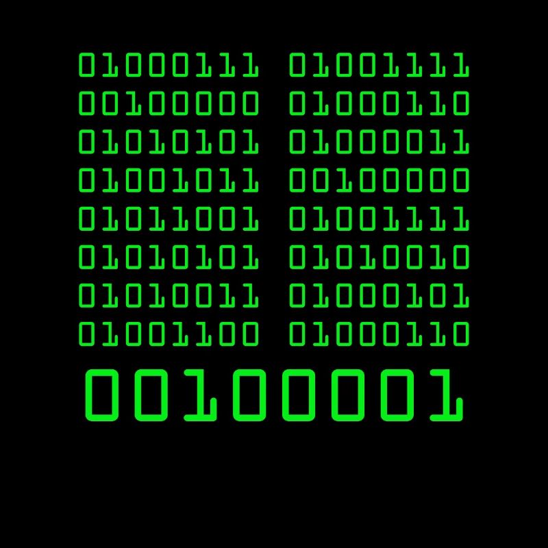 Va te faire foutre ! Code de programmation binaire