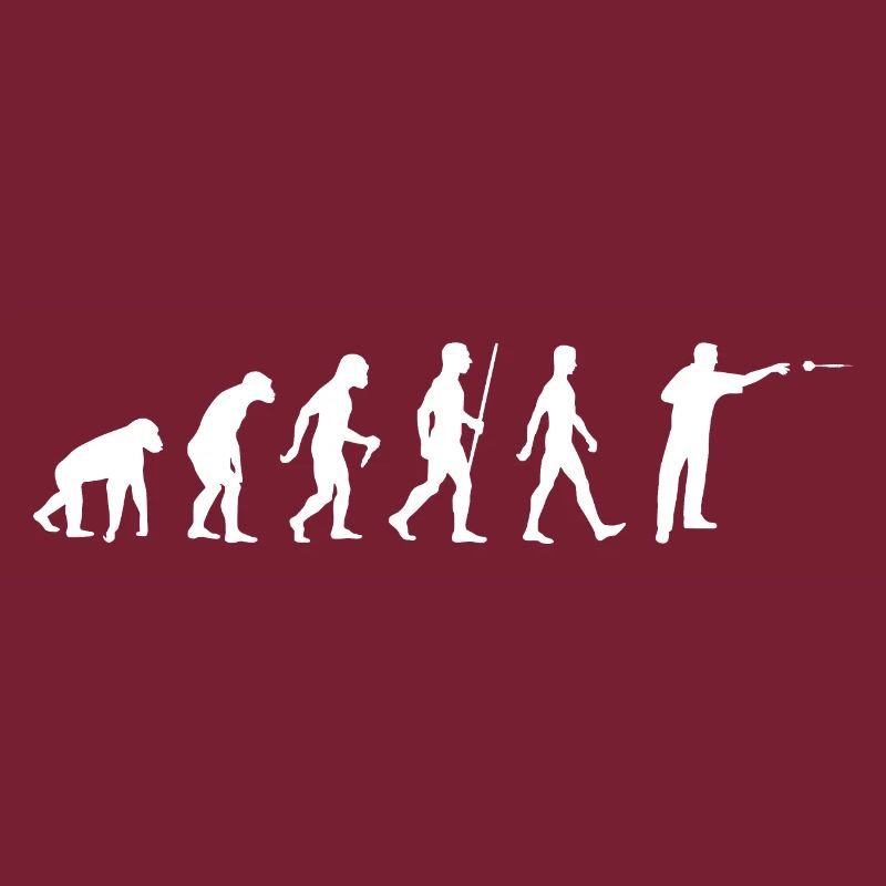 Darts Evolution Dart