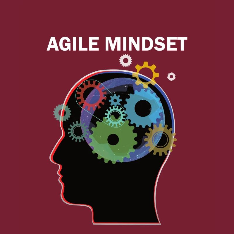 Agile Mindset Scrum Master Programmierer